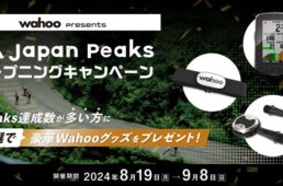 オープニングキャンペーン