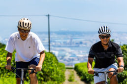 ブロンプトンTライン