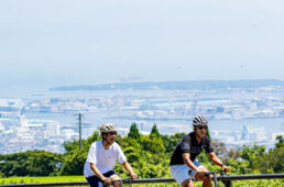 ブロンプトンTライン