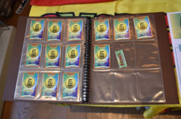 サイクルボールカード