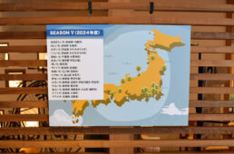 シーズン5の地図