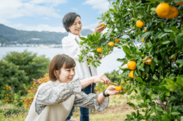 ファームガーデン長崎