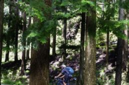 花背峠を目指す急峻な上り