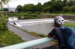 出町橋にたたずむシシャチョー
