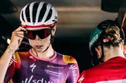 スペシャライズド　SDワークス