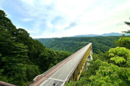 八ヶ岳大橋をオーバーパス