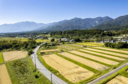 第1エイド〜第2エイド間「インター白州ライン」の牧歌的な風景