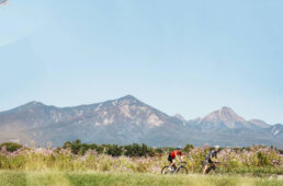 第3エイド〜第4エイド間、高根町を抜ける長沢小淵沢線