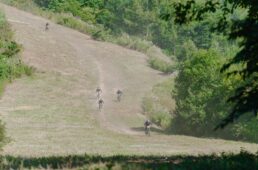 野沢温泉自転車祭2024