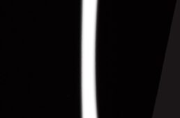 パールイズミ2024秋冬　プリント ジャージ