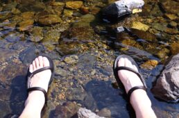 すくもグラベルまんぷくライド2024