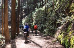 すくもグラベルまんぷくライド2024