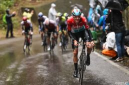 オルベア・ジャパンカップご招待キャンペーン