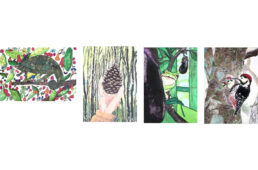 第22回ブリヂストンこどもエコ絵画コンクール