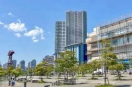 TOKYO BAY BICYCLE2024