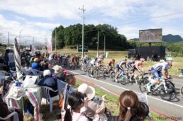 バーレーン ヴィクトリアス　2024ジャパンカップ