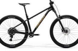 ビッグトレイル300