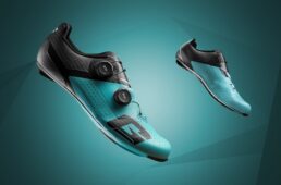 ガエルネ2025モデル