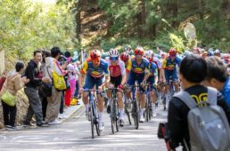 2024ジャパンカップロードレース