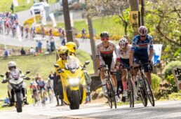 2024ジャパンカップロードレース