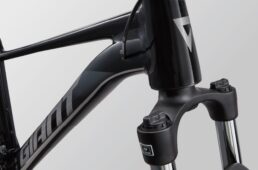 ジャイアント2025 TALON