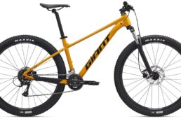 ジャイアント2025 TALON