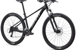 ジャイアント2025 TALON