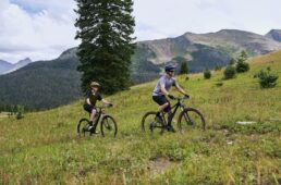 ジャイアント2025 TALON