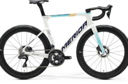 リアクトチーム