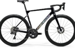 スクルトゥーラチーム