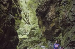 J SPORTS サイクルビレッジWiki