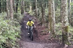 自転車協会　自転車事故