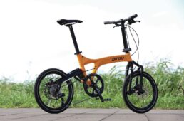 バーディースタンダード