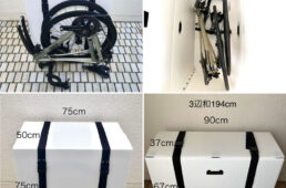 ムサシRをダンボールに梱包