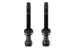 シュワルベ・クリックバルブ