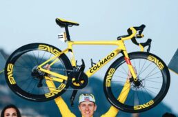 タデイ・ポガチャル