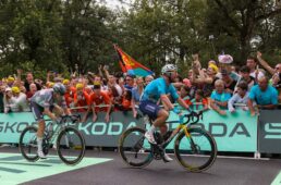 Vision・メトロン60 カヴェンディッシュ