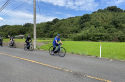 緑の水田のなかを行く