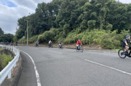 セトウチベロ香川