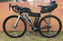 猪野学 ネオ坂バカ奮”登”記 第38回