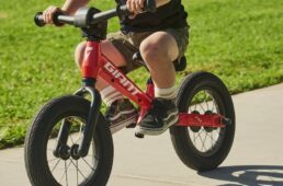 ジャイアント　プレプッシュバイク