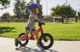 ジャイアント　プレプッシュバイク