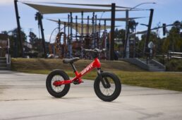 ジャイアント　プレプッシュバイク