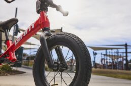 ジャイアント　プレプッシュバイク