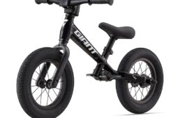 ジャイアント　プレプッシュバイク