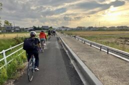 田園地帯に敷かれた一本道