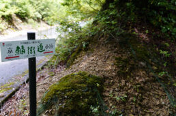 古代からの道がそのまま残されている