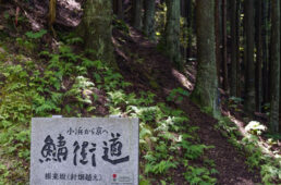 若狭からの登山口