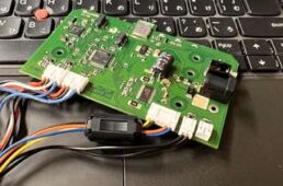 エリート・ディレート再生産