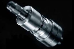 エリート・ディレート再生産